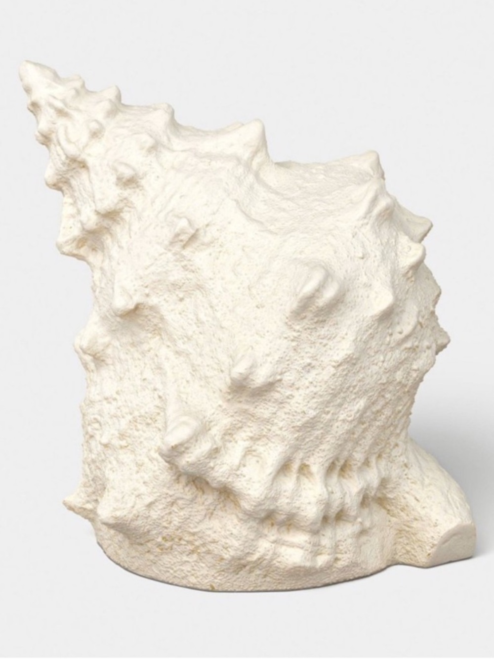 Illuminated Outdoor Beach Patio Conch Shell - Threshold designed w/ Studio McGee